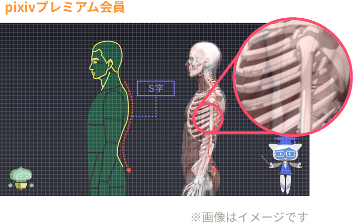 顔の基礎コース 第5回 顔の骨格を考える Sensei By Pixiv