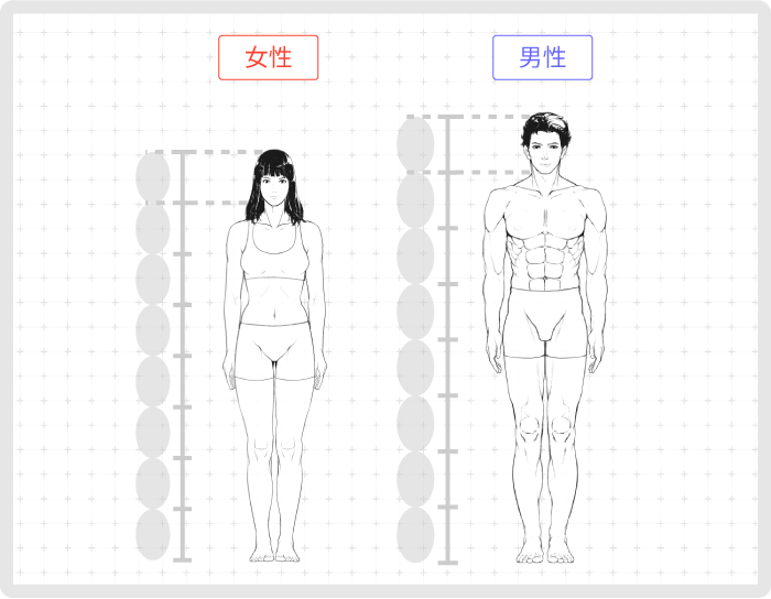 体の基礎コース 第3回 頭身について Sensei By Pixiv