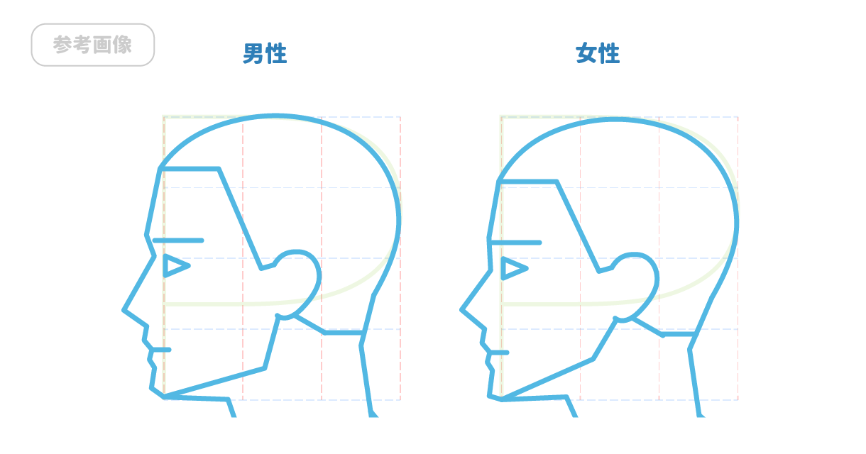 横顔のアタリを模写してみよう